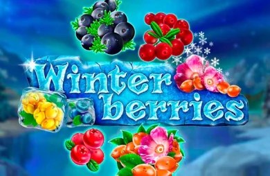 Zimmerfenster: Original-Cover des Slots Winter Berries