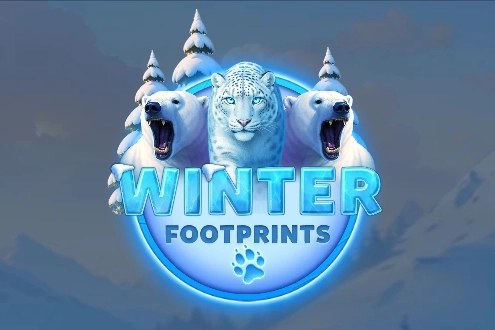 Zimmerfenster: Original-Cover des Slots Winter Footprints